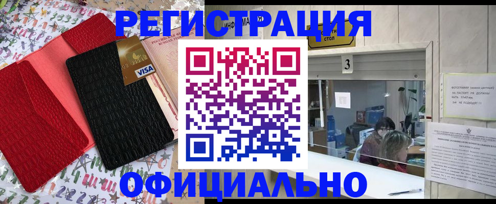 временная регистрация поиск в Палласовке